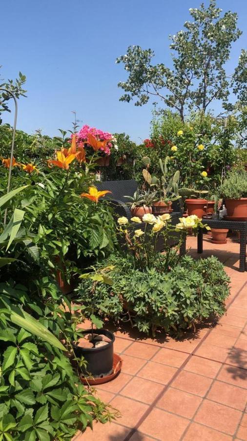 博洛尼亚Il Giardino Sui Tetti公寓 外观 照片